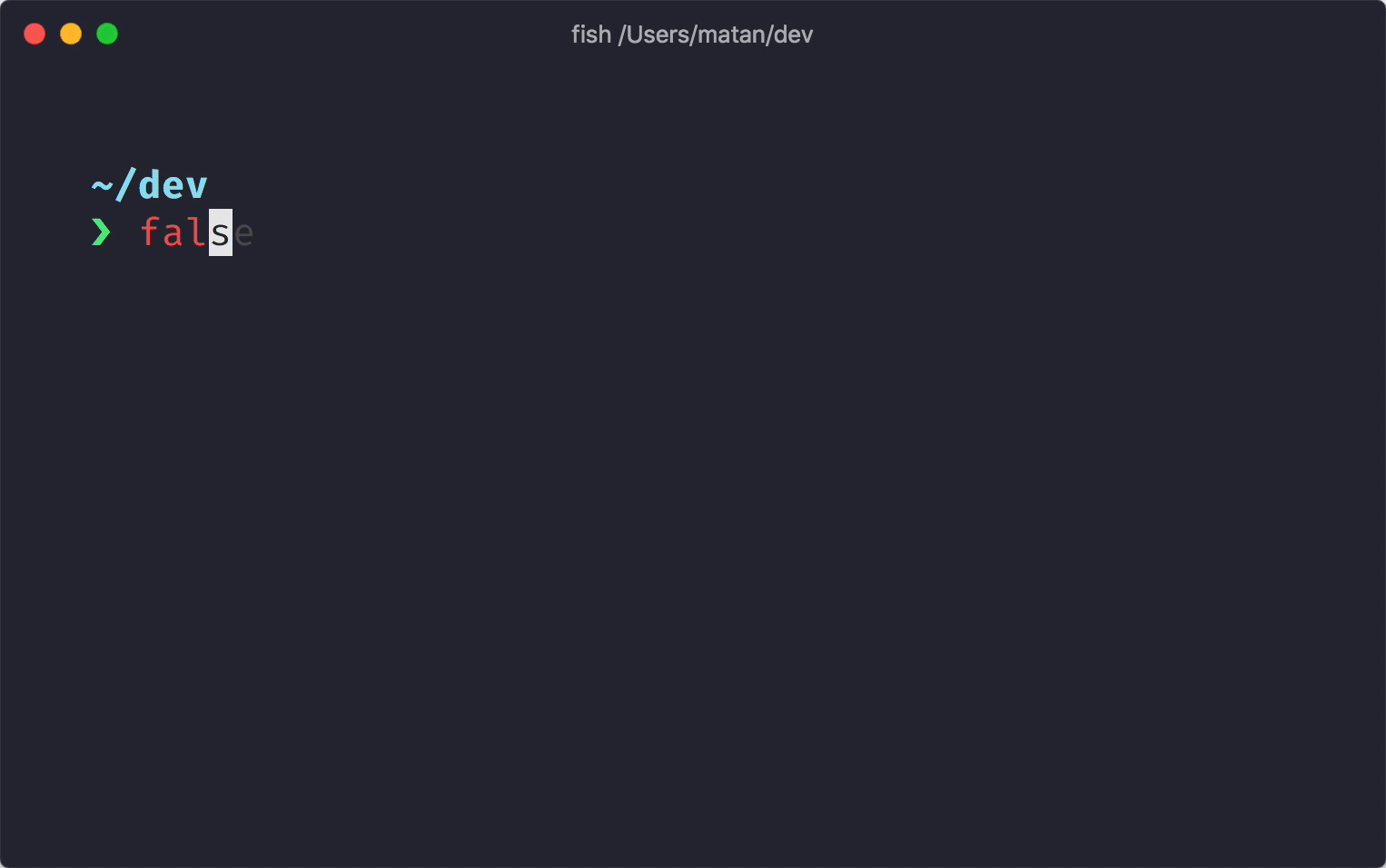 an animation of a terminal prompt, demonstrating several features of the Starship prompt